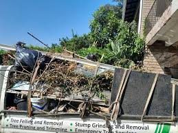 Best Yard Waste Removal  in Watertown, SD